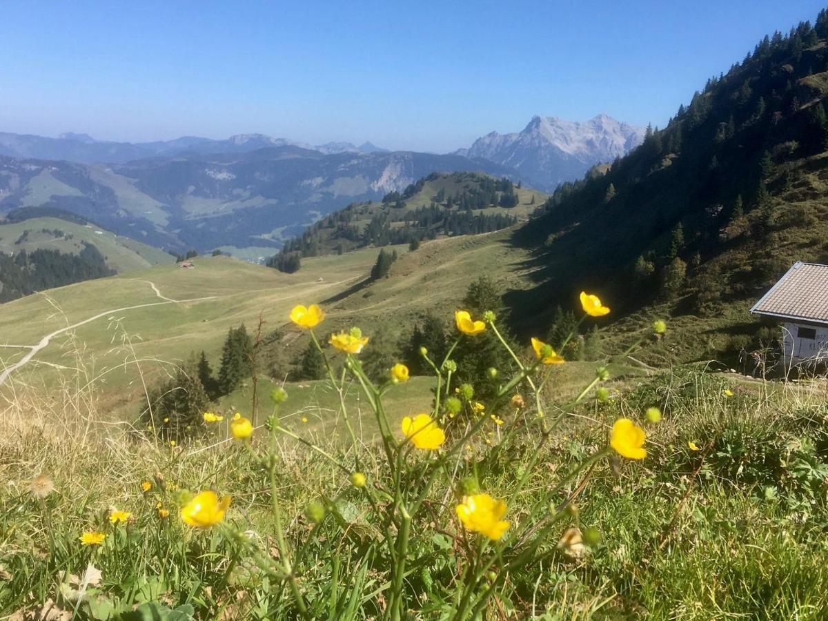 Hotel Metzgerwirt Kirchberg in Tirol Eksteriør billede